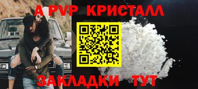 apvp Тверь